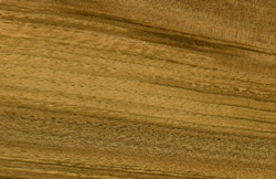 noten houten vloer